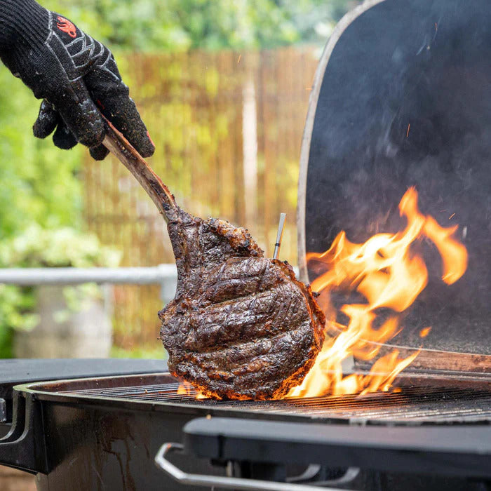 Tempwise® 2.0 - Premium Vleesthermometer