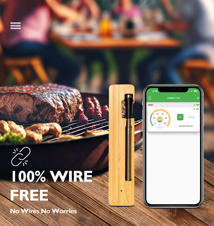 Tempwise® 2.0 - Premium Vleesthermometer